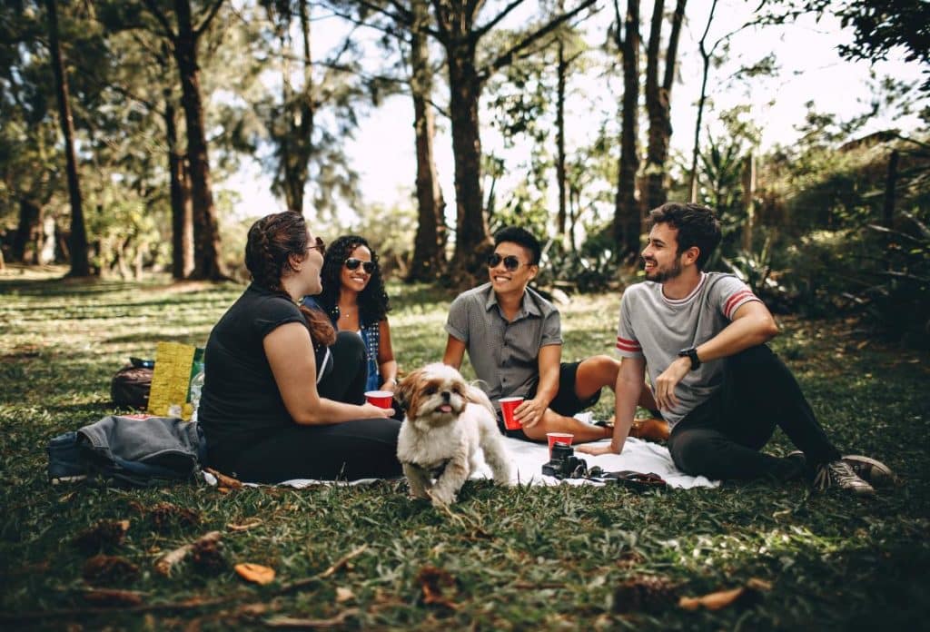 Gruppe junger Menschen mit Hund sitzt im Park